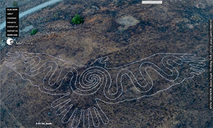 Site_Specific Collective